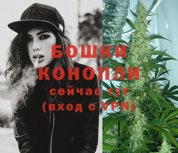 спиды Строитель