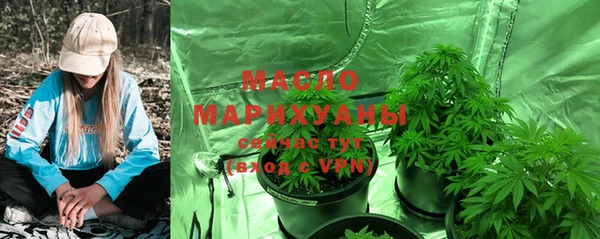 прущие крисы Тайга