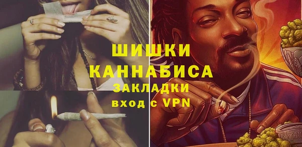 прущие крисы Тайга