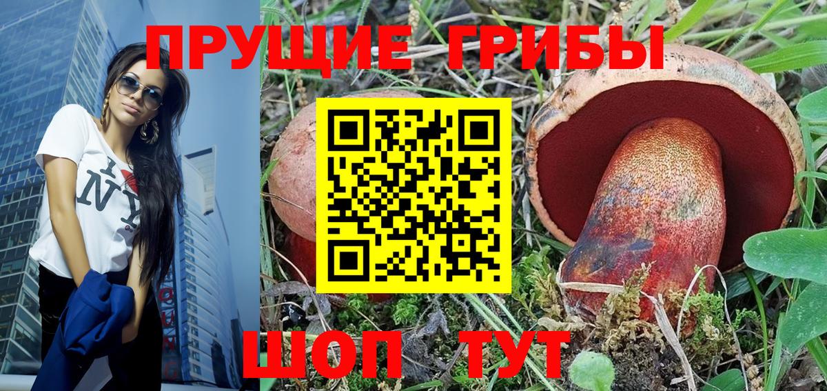 Галлюциногенные грибы прущие грибы  Вход с VPN  Ухта 